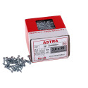 Wkręt 3x20 Astra 1000szt Wkręt 3x20 Astra 1000szt