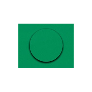 Zaślepka samoprzylepna 155 zielony